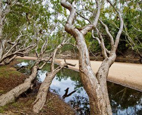 Oyala Thumotang National Park (CYPAL) - Accommodation Coffs Harbour 0