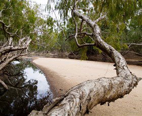 Oyala Thumotang National Park (CYPAL) - Accommodation Coffs Harbour 3