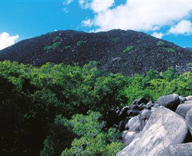 Black Mountain (Kalkajaka) National Park - Accommodation Coffs Harbour 0