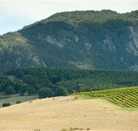 Langi Ghiran State Park - Accommodation Coffs Harbour