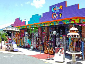 Colour Me Crazy - Accommodation Coffs Harbour 0