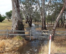 Mackereth's Hedon Farm - Accommodation Coffs Harbour 2