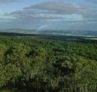 Mount Richmond National Park - Accommodation Coffs Harbour
