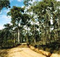 Paddys Ranges State Park - Accommodation Coffs Harbour