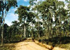 Paddys Ranges State Park - Accommodation Coffs Harbour 0