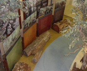 Barmah Forest Heritage And Education Centre - Accommodation Coffs Harbour 4