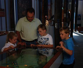 Pilliga Forest - Accommodation Coffs Harbour 1