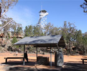 Pilliga Forest - Accommodation Coffs Harbour 2