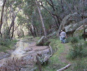 Pilliga Forest - Accommodation Coffs Harbour 3