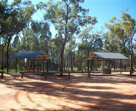 Pilliga Forest - Accommodation Coffs Harbour 6