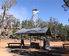 Pilliga Forest Lookout Tower - Accommodation Coffs Harbour 0