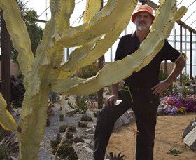 Cactus Country - Accommodation Coffs Harbour 0