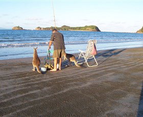 Cape Hillsborough National Park - Accommodation Coffs Harbour 0