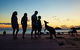Wallabies On The Beach At Cape Hillsborough - thumb 2