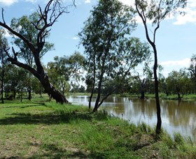 Seplin Estate Wines - Accommodation Coffs Harbour 1
