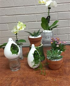 Cobram Florist - Accommodation Coffs Harbour 0