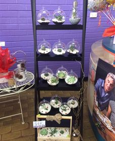 Cobram Florist - Accommodation Coffs Harbour 3