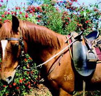 Western Plains Riding Centre - Accommodation Coffs Harbour
