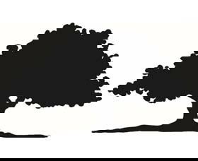 Ariah Park 1920s Heritage Village - Accommodation Coffs Harbour 3