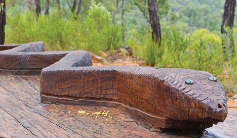 Sculptures In The Scrub Walking Track - Accommodation Coffs Harbour 3