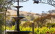 Domaine Asmara - thumb 1