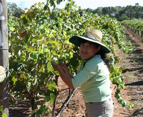 Domaine Asmara - Accommodation Coffs Harbour 6