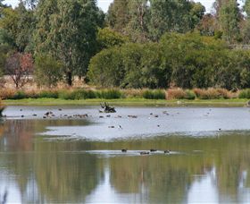 Tatura VIC Accommodation Coffs Harbour