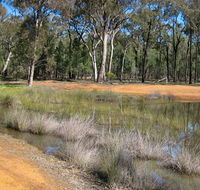 Beni State Conservation Area - Accommodation Coffs Harbour