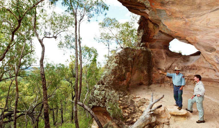 Dandry NSW Accommodation Coffs Harbour