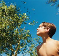 Birdwatching on Keswick Island - Accommodation Coffs Harbour