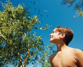 Bushwalking On Keswick Island - Accommodation Coffs Harbour 0