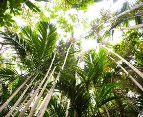 Bushwalking On Keswick Island - Accommodation Coffs Harbour 1