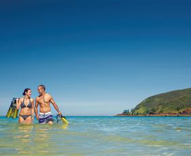 Snorkelling On Keswick Island - Accommodation Coffs Harbour 0