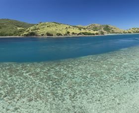 Snorkelling On Keswick Island - Accommodation Coffs Harbour 1