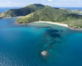 Snorkelling On Keswick Island - Accommodation Coffs Harbour 2