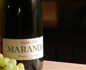 Baptista - David Traeger - Accommodation Coffs Harbour 0