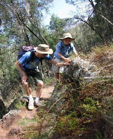 Arthurville NSW Accommodation Coffs Harbour