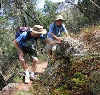 Mount Arthur Reserve - Accommodation Coffs Harbour