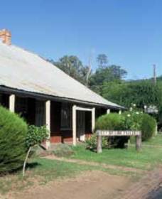 Lion Of Waterloo Tavern - Accommodation Coffs Harbour 0