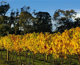 Paramoor Winery - Accommodation Coffs Harbour 3