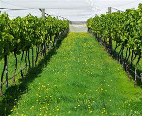 Paramoor Winery - Accommodation Coffs Harbour 6