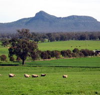 The Rock Nature Reserve - Accommodation Coffs Harbour