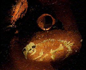 Wellington Caves And Phosphate Mine - Accommodation Coffs Harbour 2