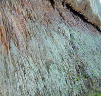 The Rock Nature Reserve - Kengal Aboriginal Place - Accommodation Coffs Harbour