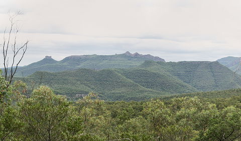 Deriah Aboriginal Information Bay - Accommodation Coffs Harbour 3