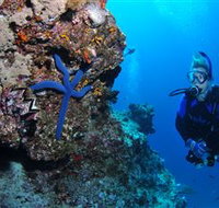 Lighthouse Bommie Dive Site