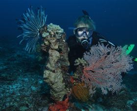 Two Towers Dive Site - Accommodation Coffs Harbour 3