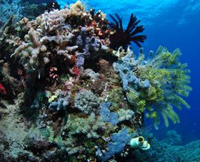 Two Towers Dive Site - Accommodation Coffs Harbour 2