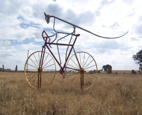 Animals On Bikes - Accommodation Coffs Harbour 0