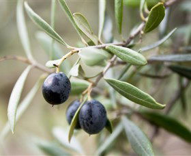 Wollundry Grove Olives - Accommodation Coffs Harbour 2